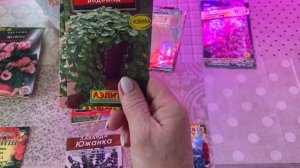 Не пропусти декабрь! Какие цветы уже пора сажать в декабре. Что такое стратификация семян