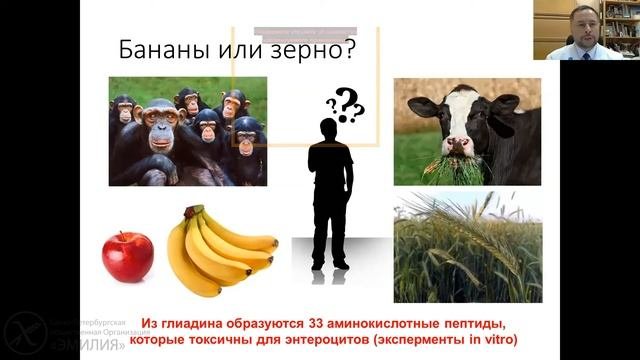 Целиакия у детей. Лекция №2