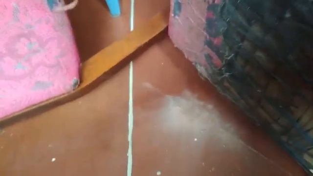 Чистота в доме, совет по борьбе с пылью
