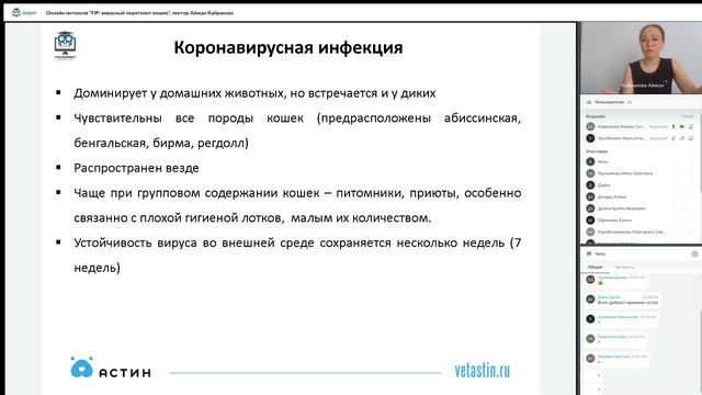 Фрагмент интенсива “FIP: вирусный перитонит кошек”, лектор Айжан Кайранова смотреть онлайн