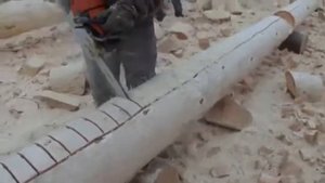 Работа бензопилой при подготовке бревна на сруб