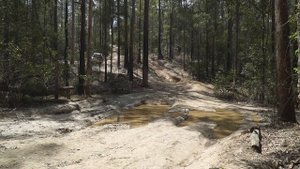 NISSAN NAVARA OFFROAD TEST - Broken Bago State forest