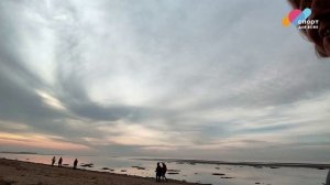 День тренера. Скандинавская ходьба.