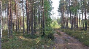 лада веста св кросс в Карелии.