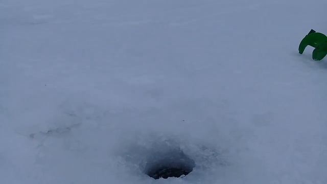 ВОТ ГДЕ ВСЯ ЩУКА!!!Ловля щуки на жерлицы!!Живца на мормышку!! (Отличная получилась рыбалка!!) смотреть онлайн