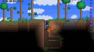 Terraria : Mushroom and Star farms