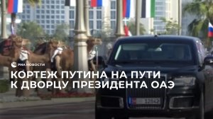 Кортеж Путина на пути к дворцу президента ОАЭ