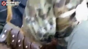 Чеченцы открыли охоту на Добермана