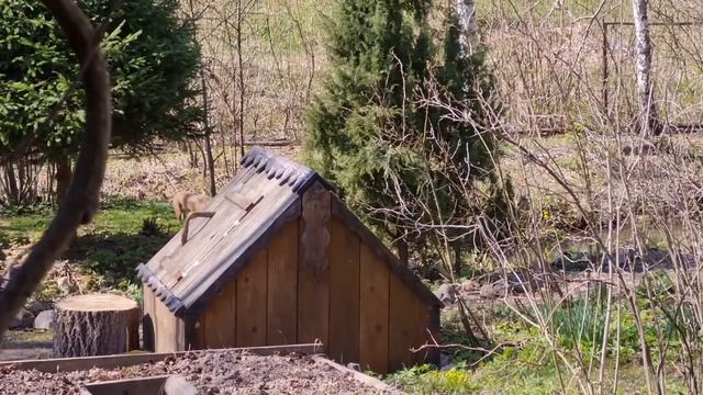 Открытие тихой охоты и суета у водоёма смотреть онлайн