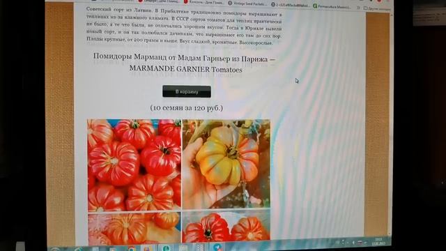 Обзор на лучшие сорта томатов 2023 красного цвета сайта POMIDOM.RU продолжение! Какие сорта купить?