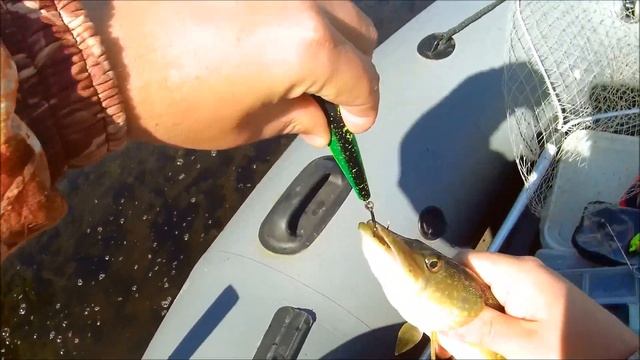 Щука на спиннинг осенью. Рыбалка с лодки. Игры со шнурками. смотреть онлайн