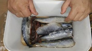 СЕЛЬДЬ ПРОВЕСНАЯ.mp4