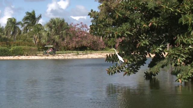 Travel Review The Reserve at Paradisus Palma Real BookIt co Top Ten Upscale All Inclusive R смотреть онлайн