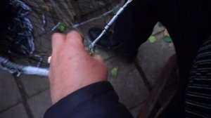 Правильная подвязка карманов кастинговой сети.