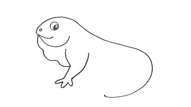 How to DRAW an IGUANA Easy Step by Step Drawing Animals смотреть онлайн