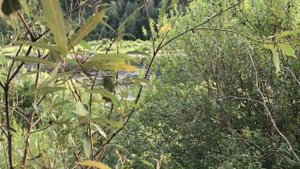 Пустынька. Последняя церковь Архангельской области.