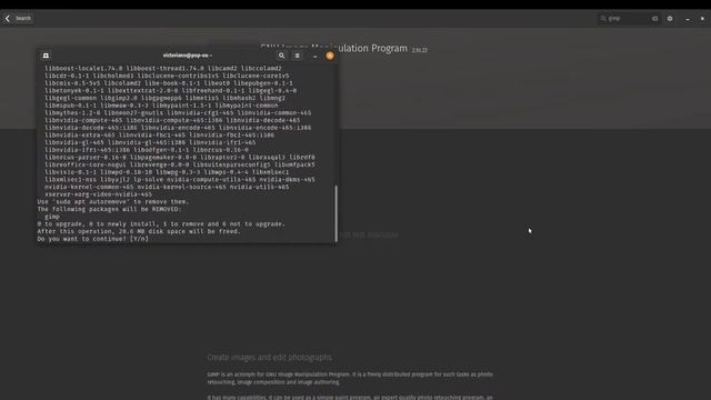How to Install On Linux - 2021 GIMP Tutorial смотреть онлайн