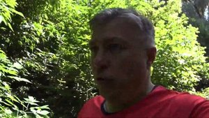 Где искать сома в жару при термоклине