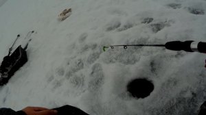 Как работают правильные балансиры, подводные съёмки