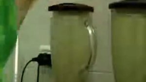 Истории успеха Гербалайф. Лана Голденбланк и Олег Нешто