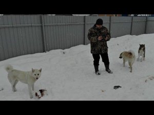 Дрон следит за лайками