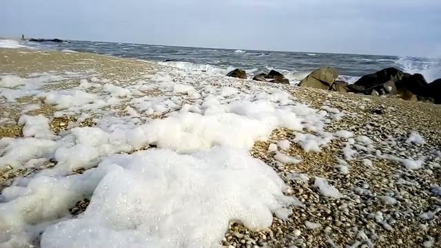 Морская пена на Азовском море. Бердянская коса.