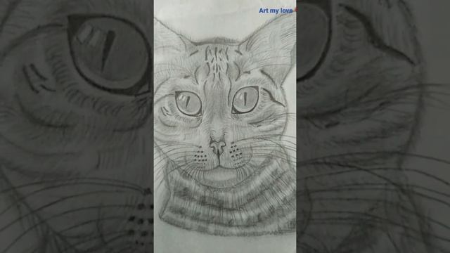 Cat sketch /Cat Drawing #artmylove #pencildrawing #sketch