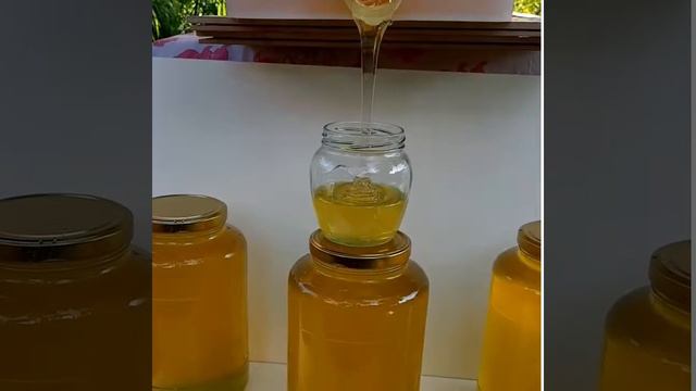 АКАЦИЕВЫЙ мёд.  Сбор 2019. Краснодарский край