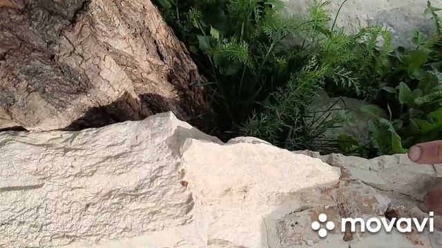 НОЕВ КОВЧЕГ/Иследование продолжается/3/ смотреть онлайн