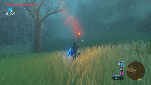 Zelda BotW - Lost Woods walkthrough смотреть онлайн