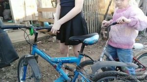 Нападает петух, детям подарили велосипед.