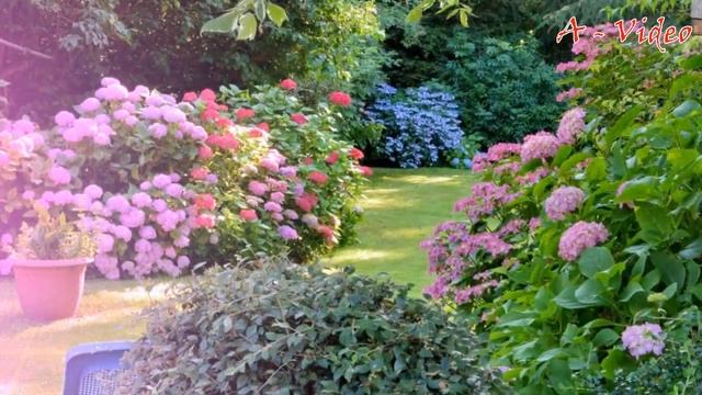 ?Прекрасные примеры озеленения и декорирования садового участка / Garden Decor Examples / A - Video