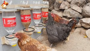 Кормушки и поилки курам из бутылок 2 л