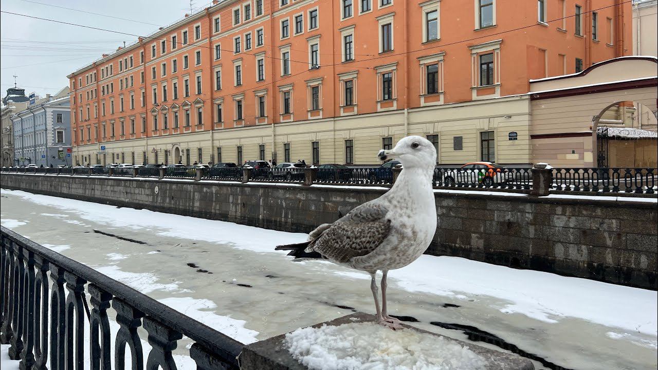 ГУЛЯЮ ПО ПЕТЕРБУРГУ. ПОСЕТИТЬ ОБЯЗАТЕЛЬНО!КАЗАНСКИЙ СОБОР И НЕВЕРОЯТНАЯ МОЗАЙКА ХРАМА СПАСА НА КРОВИ
