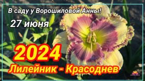 В гостях у Ворошиловой! Лилейники. Часть 3 / Сад Ворошиловой