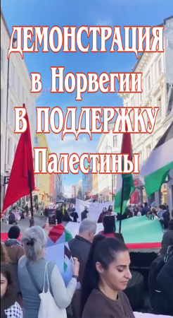 Демонстрация в Норвегии в поддержку Палестины.