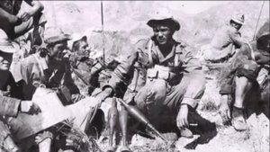 Добрынин Н. К.  -  АФГАНИСТАН