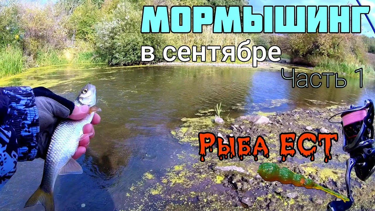 Мормышинг. Рыбалка в сентябре. Часть 1. Рыба ест. Ловля ельца спиннингом на микроприманки