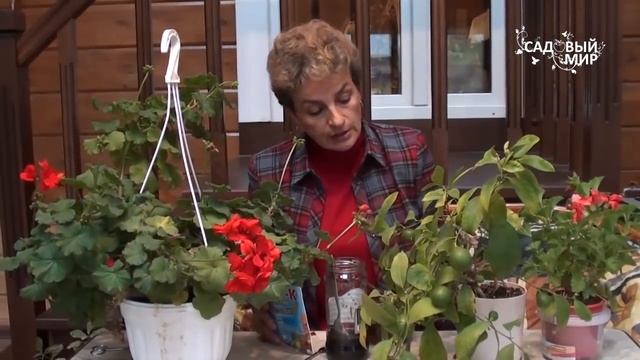 Какие удобрения вносить осенью. Сайт "Садовый мир" смотреть онлайн