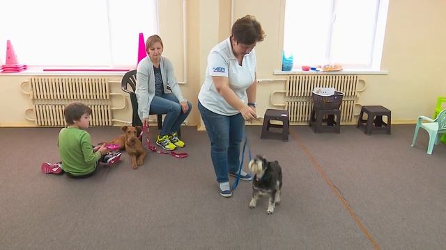 Досуг с пользой для себя и других смотреть онлайн