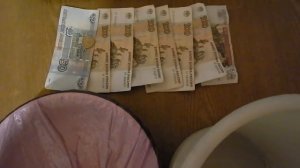 ?"Бизнес" на курах несушках или как я яйцо куриное реализовывал.?