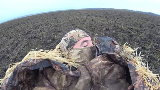 Охота на гуся 2023 уже скоро Норму выполнил смотреть онлайн