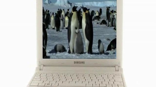 samsung netbook np-n150.mpeg смотреть онлайн