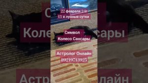 АСТРОПРОГНОЗ 22 февраля 24г. Луна в знаке ЛЬВА. 13е лунные сутки. Символ - Колесо САНСАРЫ