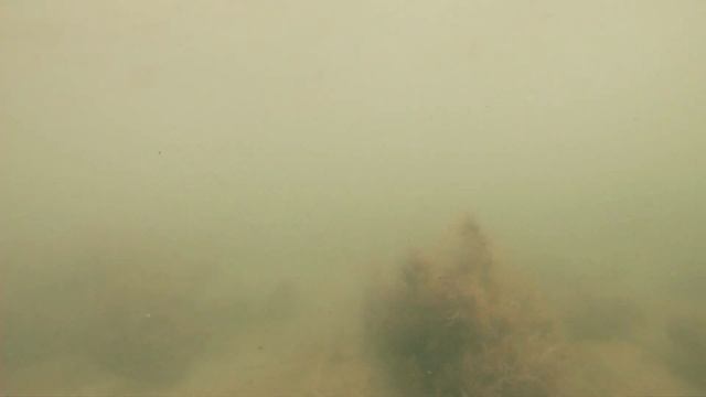 Путешествуйте своим ходом. Крым.Чёрное море.Береговое.Феодосия.Двуякорная бухта.Мыс Меганом . смотреть онлайн