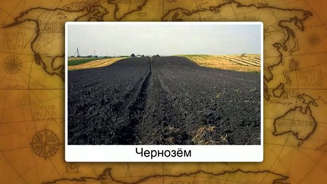 26. География 6 класс - Воздействие организмов на земные оболочки смотреть онлайн