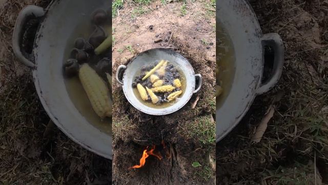 wow boil bamboo shoot and snails corn at the countryside #countryside #fishing #fishingvideo