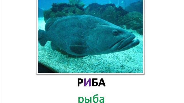 Болгарский язык -- Словарь -- часть 4