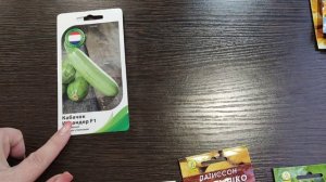 Семена тыквы, кабачков и патиссонов.