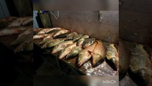 ГОСТЕВОЙ ДОМ ВЫШКА